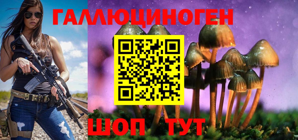 Галлюциногенные грибы Psilocybe  Вход с VPN  Асбест 